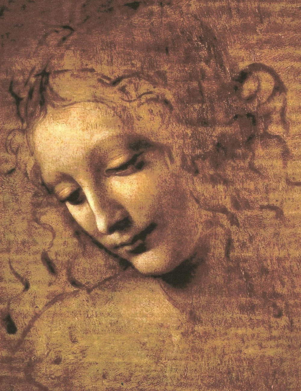 The woman whose soul Leonardo da Vinci did not want to capture: la ...