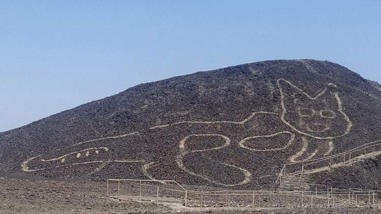 Perù, scoperto un nuovo geoglifo: è un felino sulla collina di Nazca