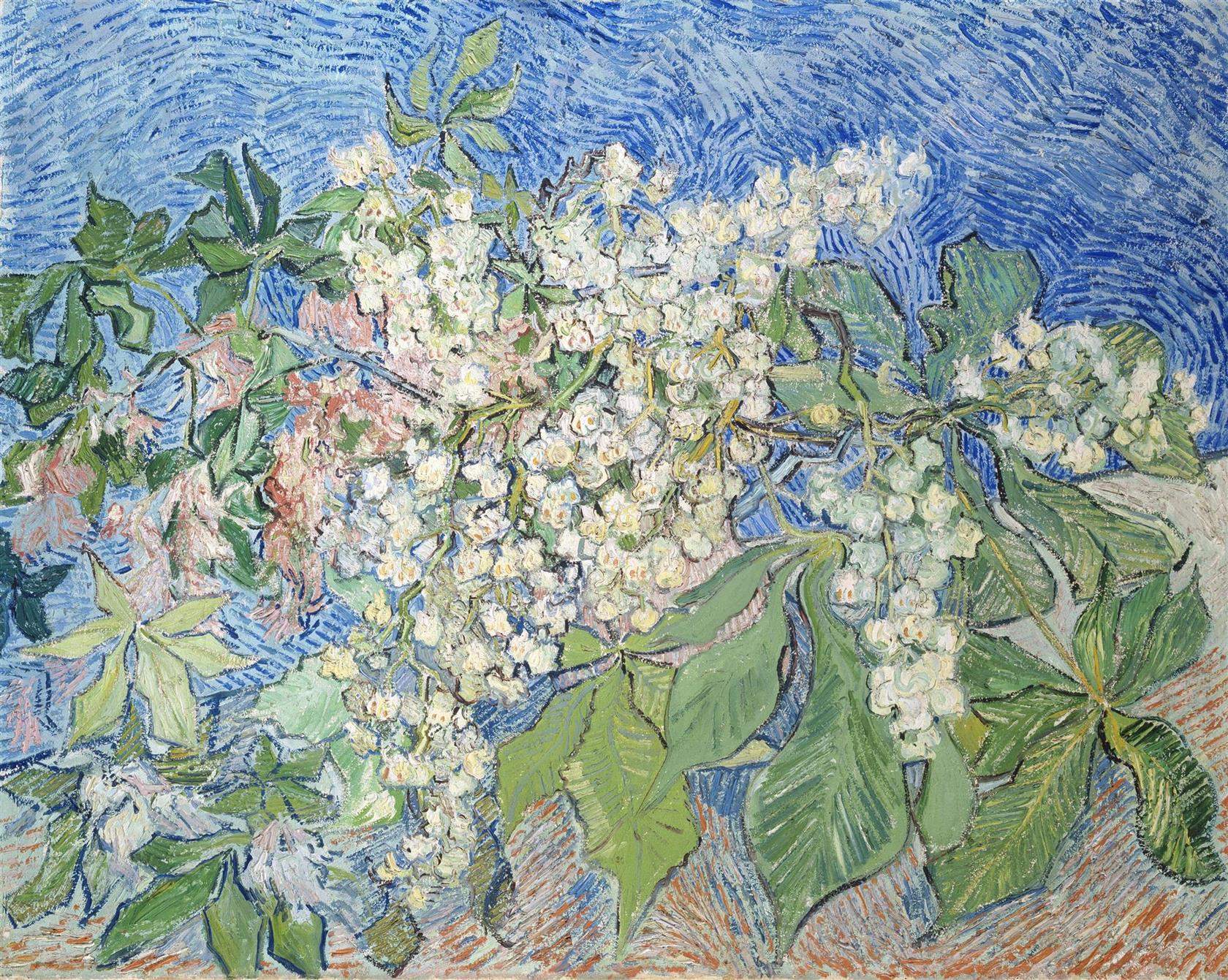 A Lugano, Monet e van Gogh a confronto con Canaletto, Guardi e Strozzi: ecco i capolavori della collezione Bührle