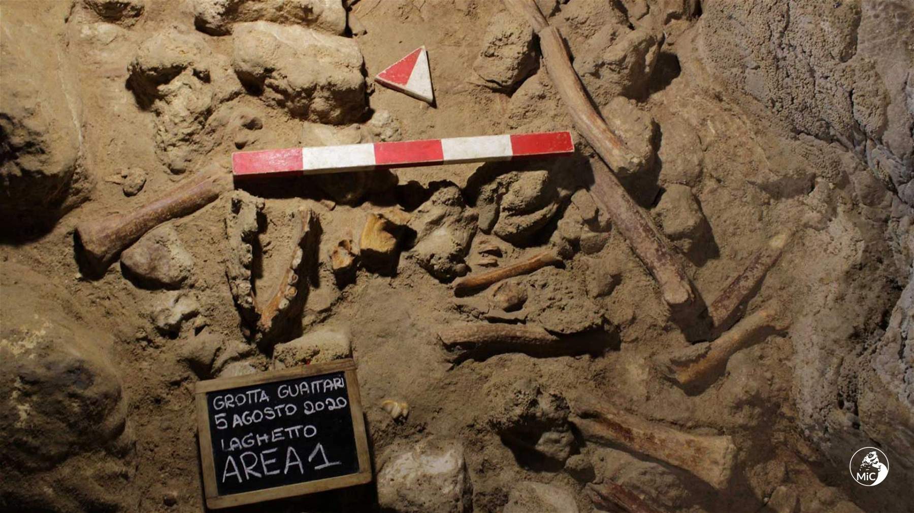 Circeo, trovati resti di nove uomini di Neanderthal nell'importante sito di Grotta Guattari