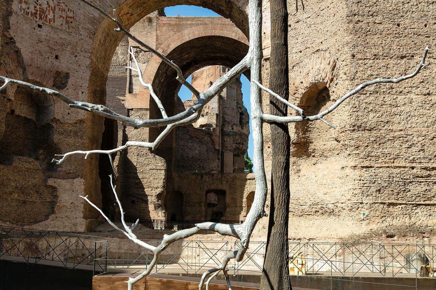 Roma, gli alberi di Giuseppe Penone invadono le Terme di Caracalla
